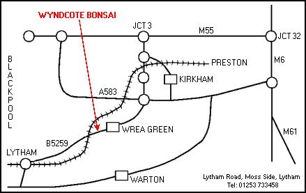wyndcote bonsai nursery map