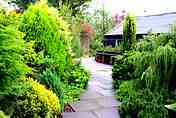 wyndcote bonsai nursery garden