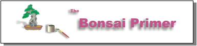 The Bonsai Primer